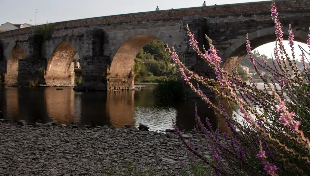 El caudal del río Miño ha ido disminuyendo hasta niveles mínimos, quedando casi vacío en Lugo
