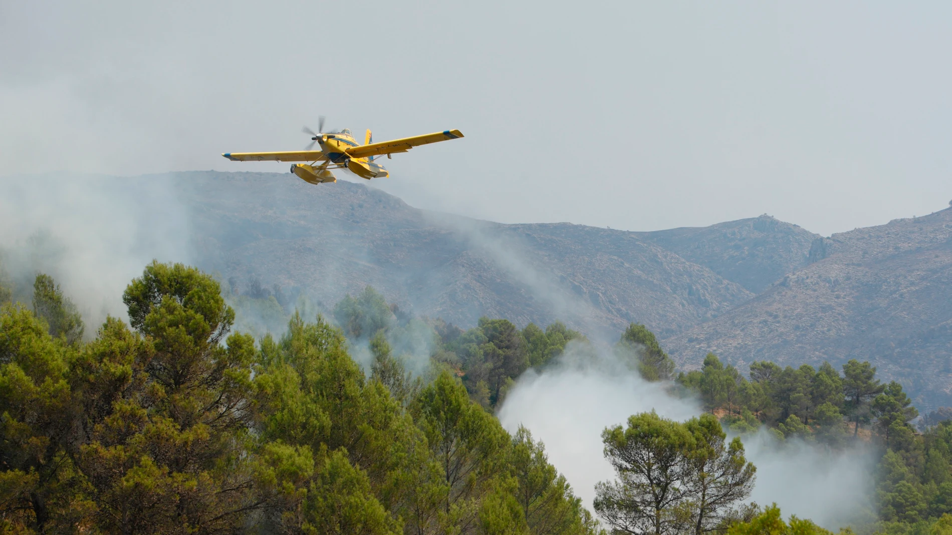 El incendio forestal que se declaró la noche del pasado sábado en Vall d,'Ebo, y que ha quemado cerca de 9.500 hectáreas y forzado al desalojo de más de un millar de personas, continúa "muy activo" y ha obligado a cortar varias carreteras