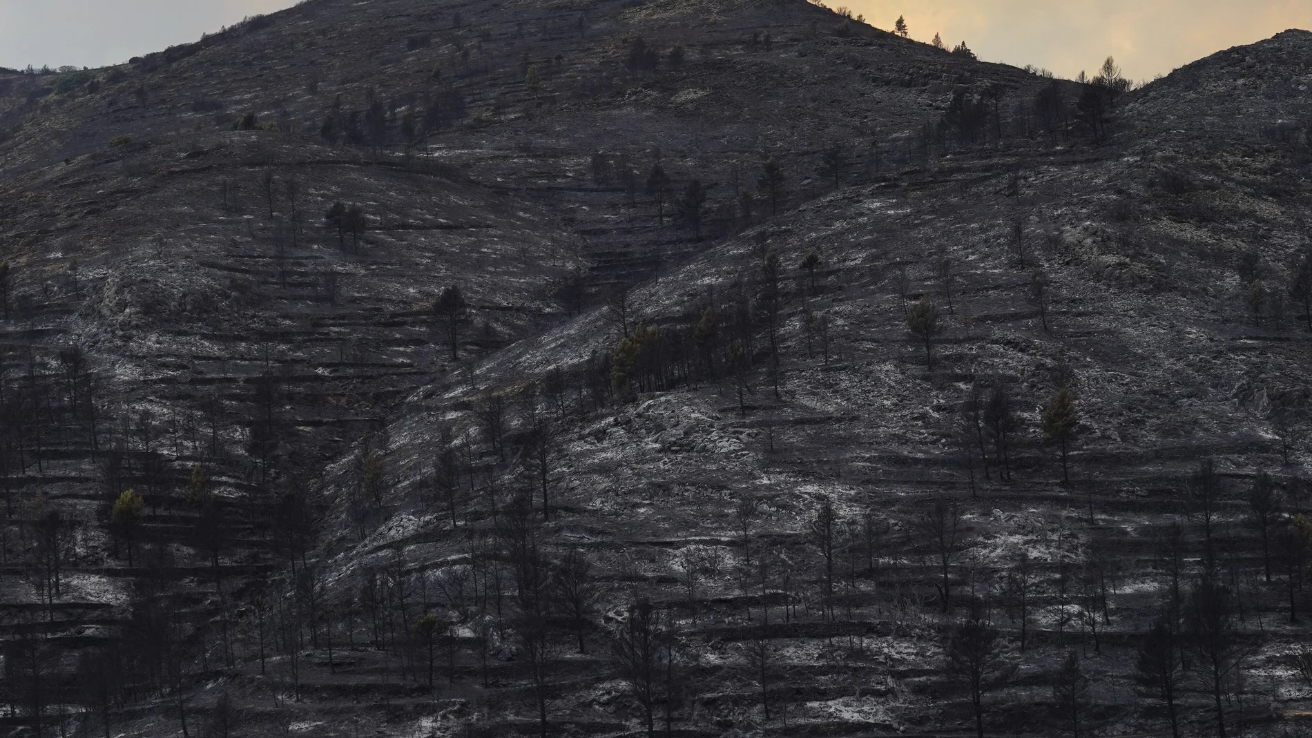 Una de las zonas afectadas por el incendio de Bejís