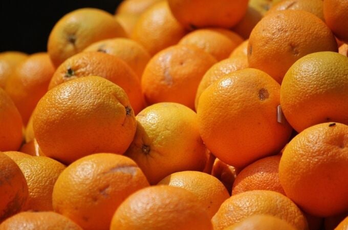 Varios kilos de naranjas. ASAJA