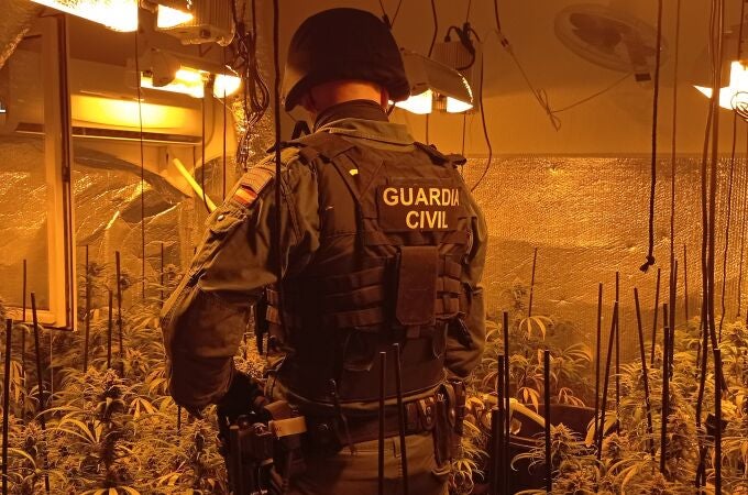 Agente de la Guardia Civil en una plantación interior de marihuana. GUARDIA CIVIL