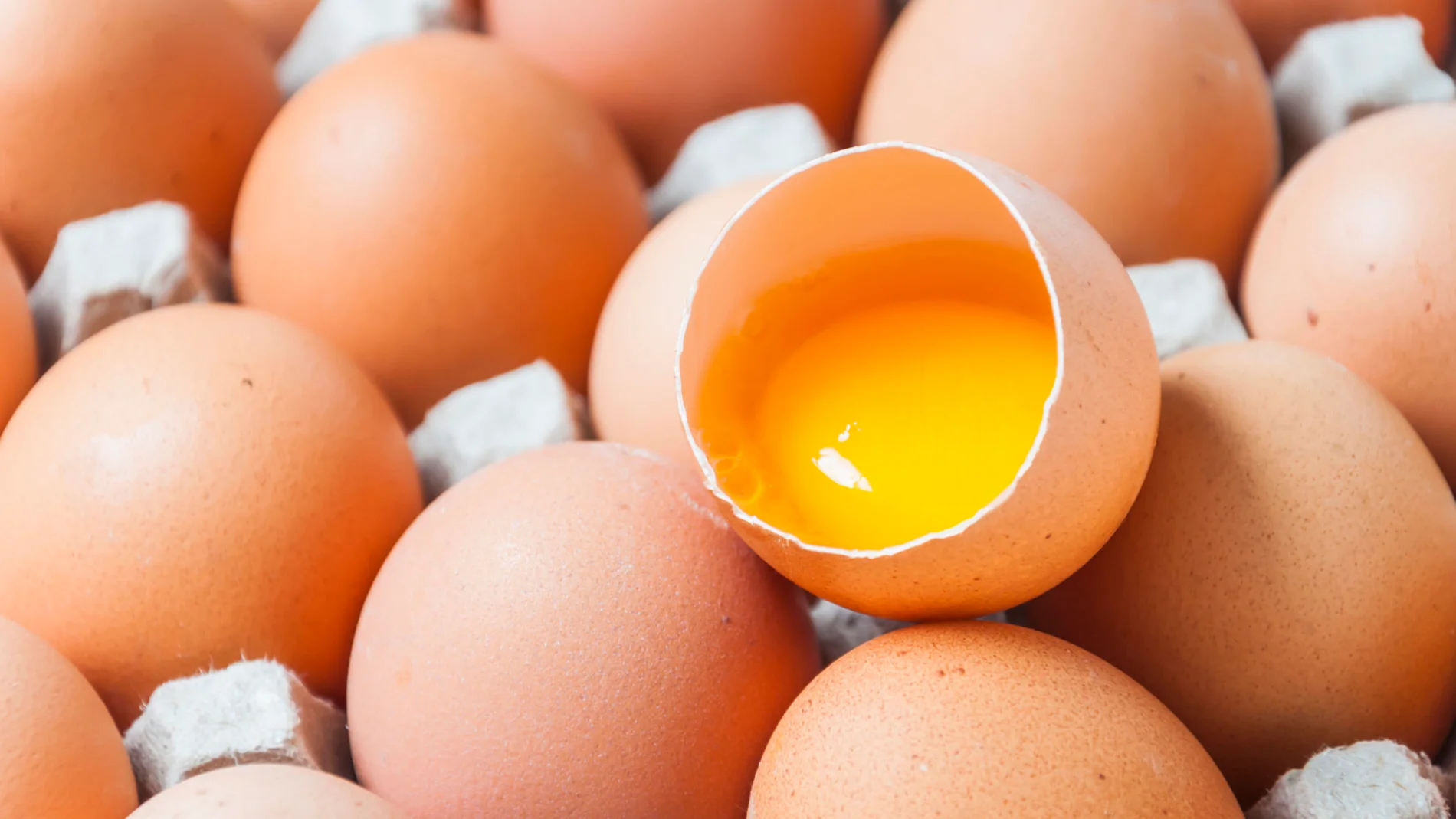 La profesora de la UCAV, Carolina García Barroso, derriba los principales mitos sobre los huevos