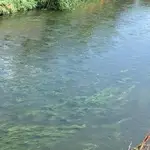  Alerta en Getafe: un vertido incontrolado de aguas residuales llega al río Manzanares por cuatro puntos 
