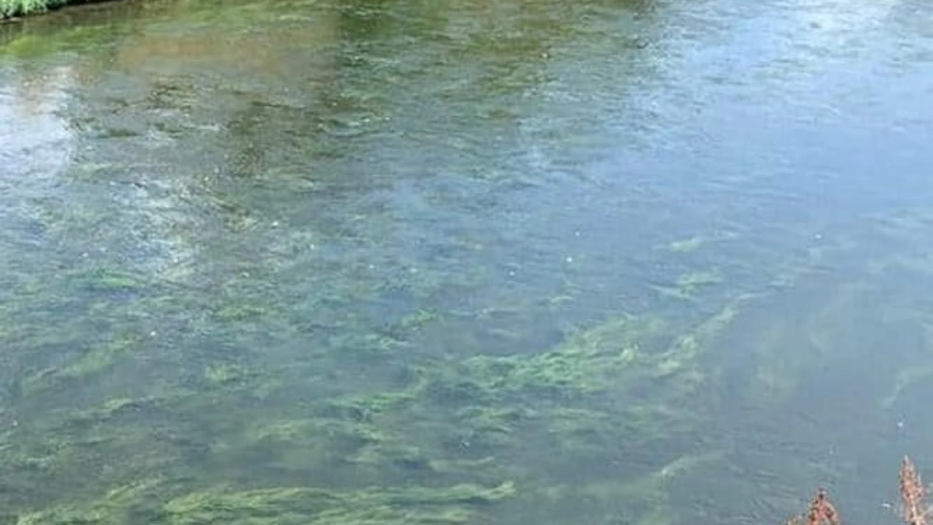 Alertan del vertido incontrolado de aguas residuales al río Manzanares en Perales por cuatro puntos AYUNTAMIENTO DE GETAFE 18/08/2022