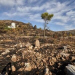 Imagen de cómo ha quedado el terreno tras el incendio de la Vall d' Ebo