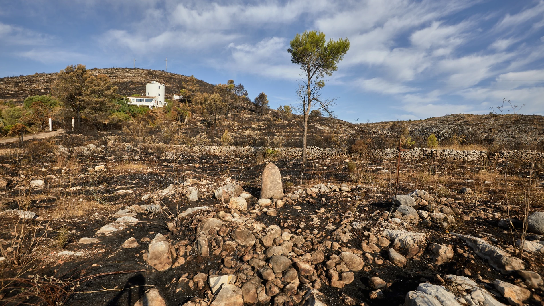 Imagen de cómo ha quedado el terreno tras el incendio de la Vall d' Ebo