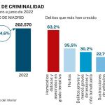 Criminalidad en Madrid
