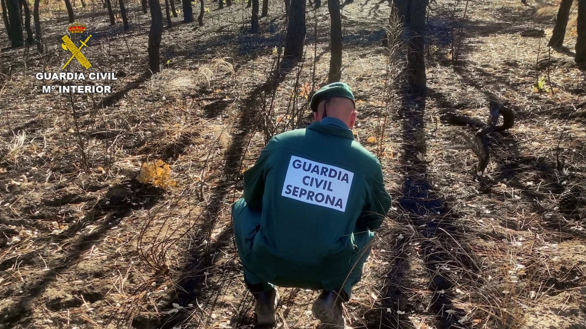 Investigan a un varón de 69 años por su presunta implicación de un incendio en la provincia de León