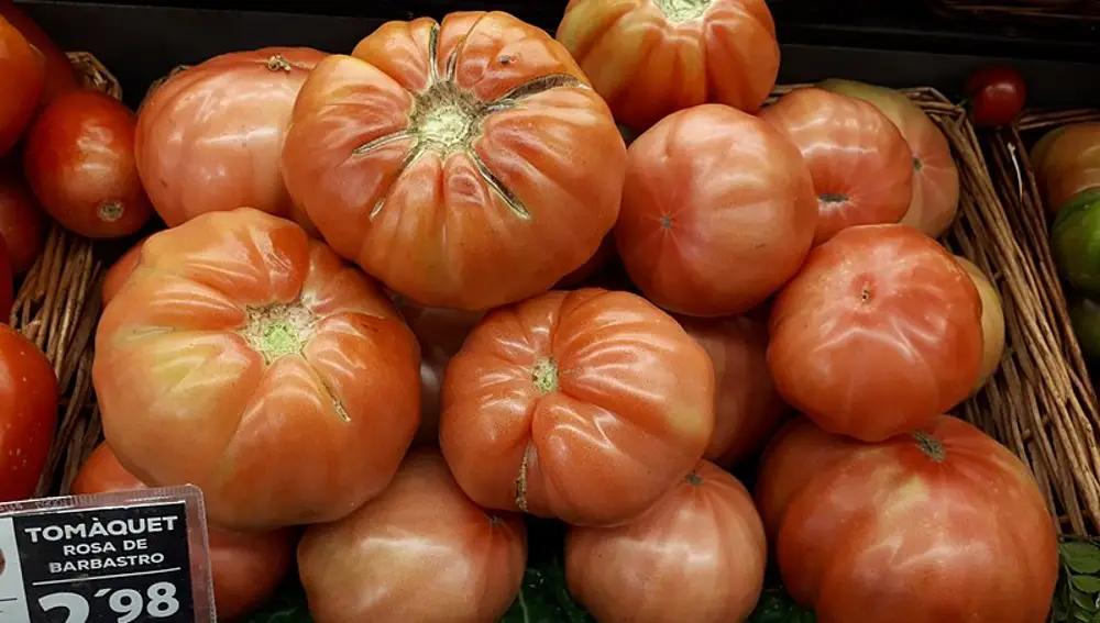 Imagen de archivo del tomate rosa de Barbastro