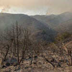 Imagen del estado de los montes en Bejís (Castellón) tras el incendio iniciado el pasado día 15 de agosto a causa de un rayo