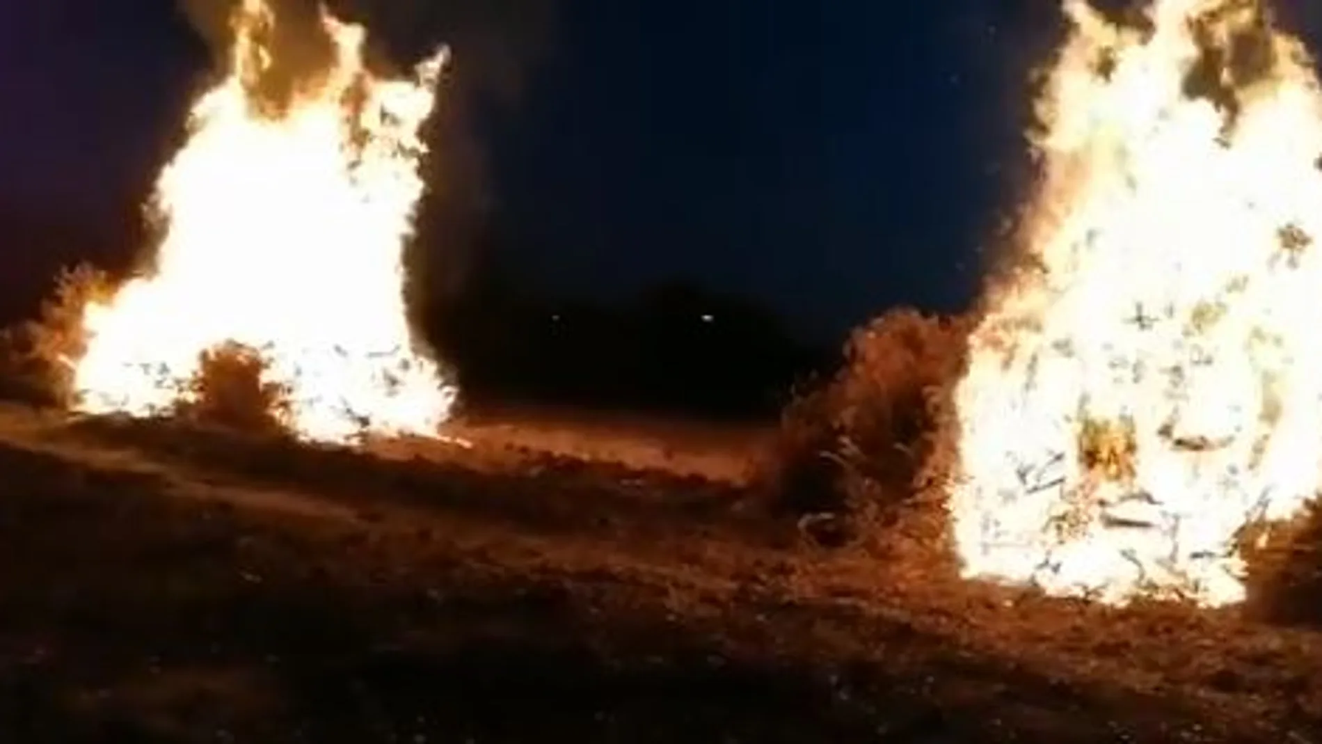 Imagen de los campos de naranjos ardiendo