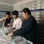 Los beneficios del veneno