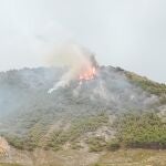 Incendio forestal en el entorno del paraje La Cruz de Nívar, en el área metropolitana de Granada PLAN INFOCA