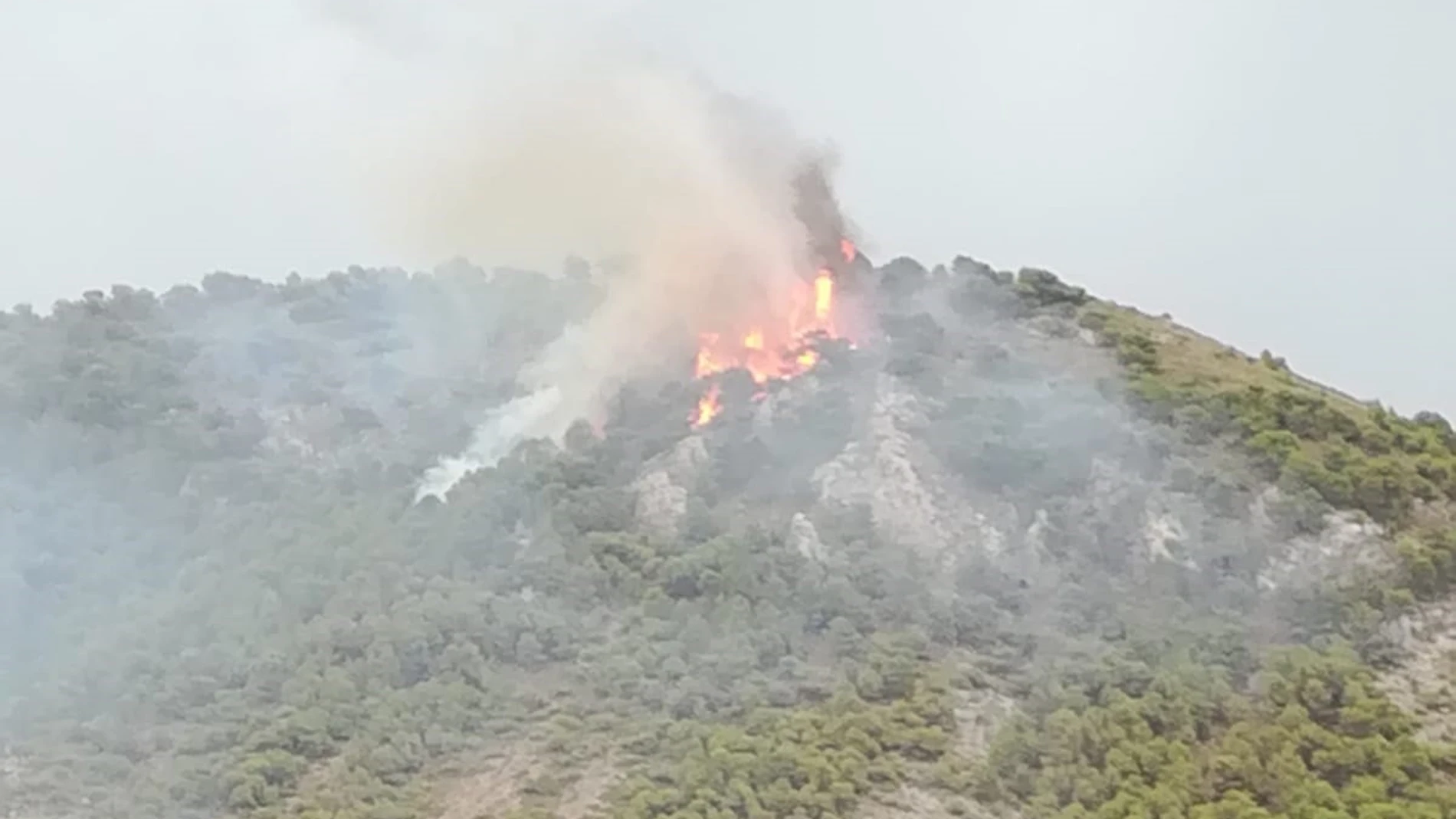 Incendio forestal en el entorno del paraje La Cruz de Nívar, en el área metropolitana de Granada PLAN INFOCA