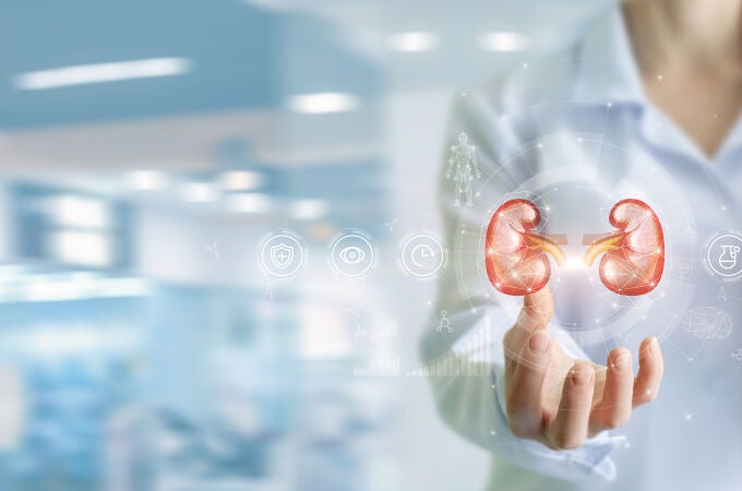 Enfermedad renal crónica