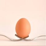 Comer huevos vegetales es posible | Fuente: Pexels / Pixabay