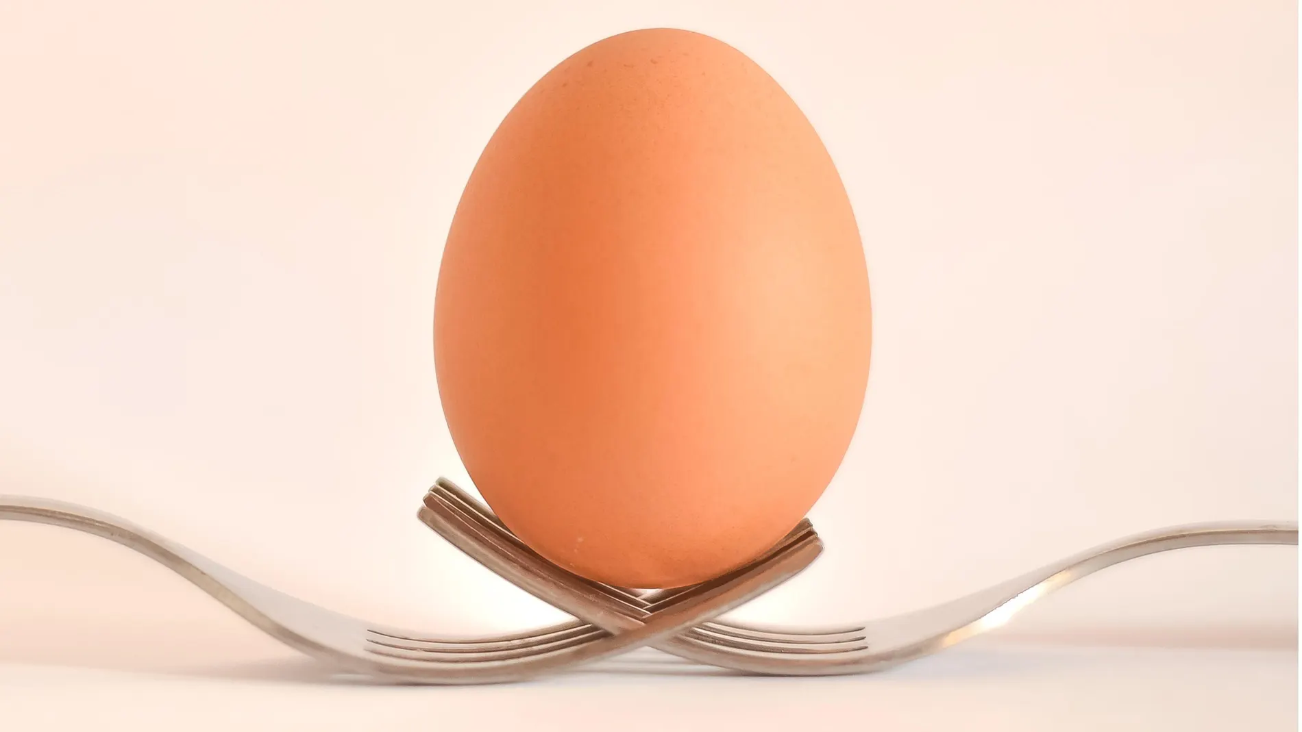 Comer huevos vegetales es posible | Fuente: Pexels / Pixabay