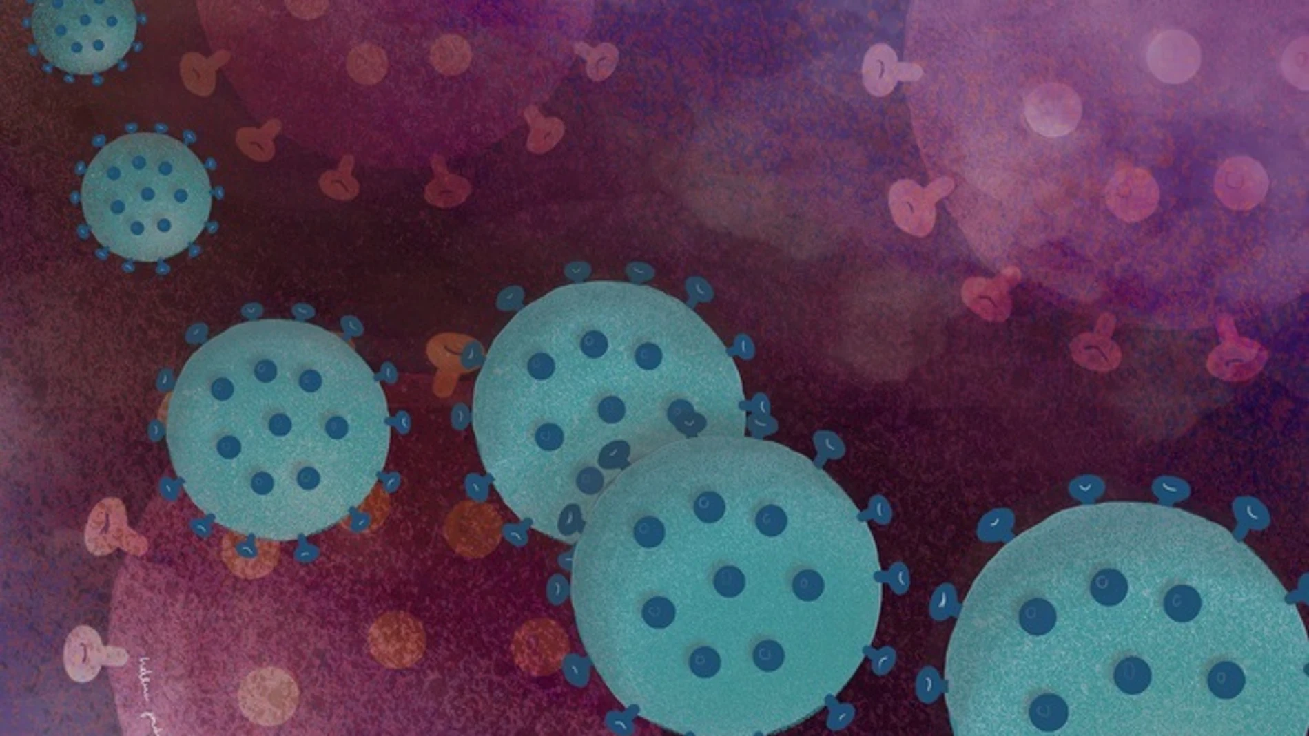 Ilustración de los virus SARS-CoV-2, responsables de la enfermedad COVID-19
