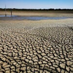 La laguna de Santa Olalla, la laguna permanente más grande de Doñana y la última que ha mantenido agua en agosto, ha terminado por secarse completamente. EFE