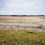 HUELVA, 03/09/2022.- La laguna de Santa Olalla, la laguna permanente más grande de Doñana y la última que ha mantenido agua en agosto, ha terminado por secarse completamente, lo que se ha debido a un periodo de sequía intenso y la sobreexplotación del acuífero por el complejo turístico onubense de Matalascañas, lo que ha agravado la situación en Doñana. EFE/Banco de imágenes de la EBD/CSIC - SOLO USO EDITORIAL/SOLO DISPONIBLE PARA ILUSTRAR LA NOTICIA QUE ACOMPAÑA (CRÉDITO OBLIGATORIO) -