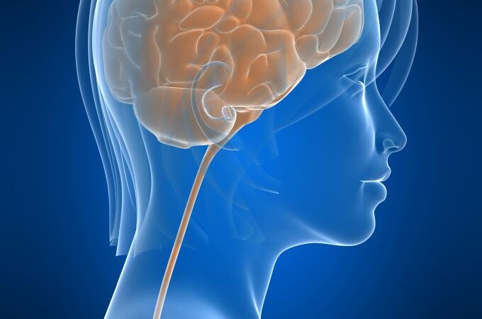 Acerca del eje  intestino-cerebro
