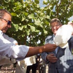 El presidente de la Generalitat Valenciana, Ximo Puig, asiste al corte del primer racimo de uva de la campaña 2022-23 de la Denominación Protegida de Uva de Mesa Embolsada del Vinalopó