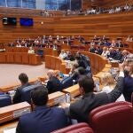 Pleno de las Cortes