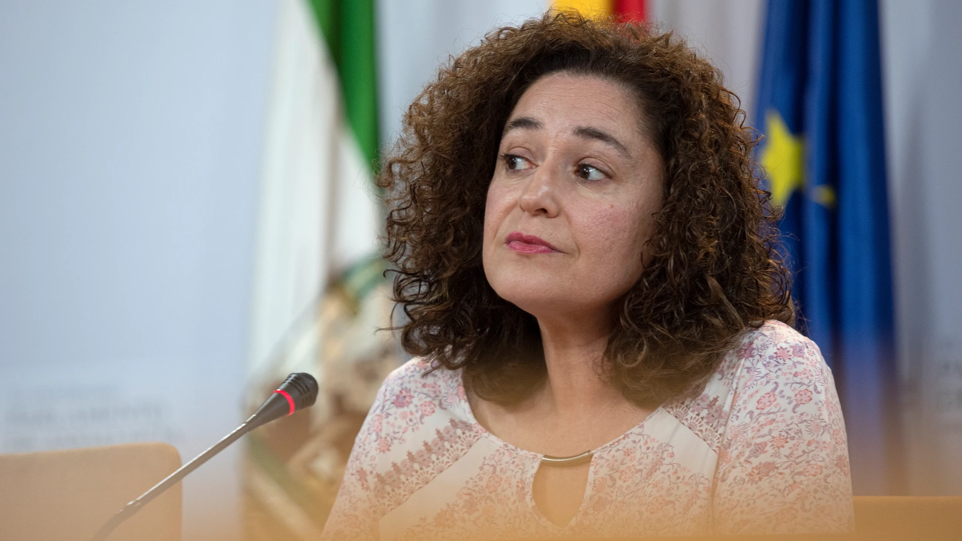 La portavoz del grupo parlamentario Por Andalucía, Inmaculada Nieto. María José López / Europa Press