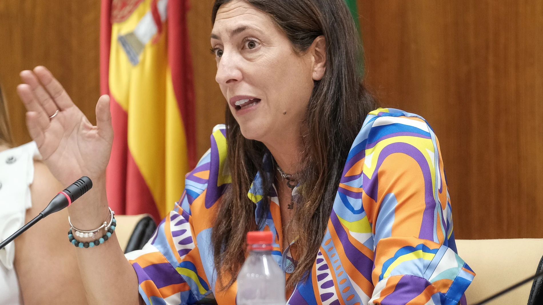 La consejera de Inclusión Social, Juventud, Familias e Igualdad, Loles López, en su primera comisión parlamentaria. ALFREDO DE ANCA/PARLAMENTO
