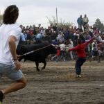 Primer Toro de la Vega sin muerte en Tordesillas