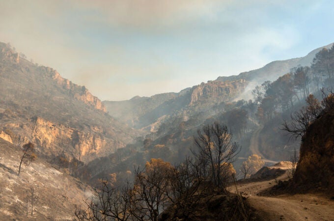 Medios aéreos y terrestres del Infoca trabajan en la extinción de un incendio forestal declarado este jueves en un paraje de Los Guájares, en la Costa Tropical de Granada. EFE/Alba Feixas