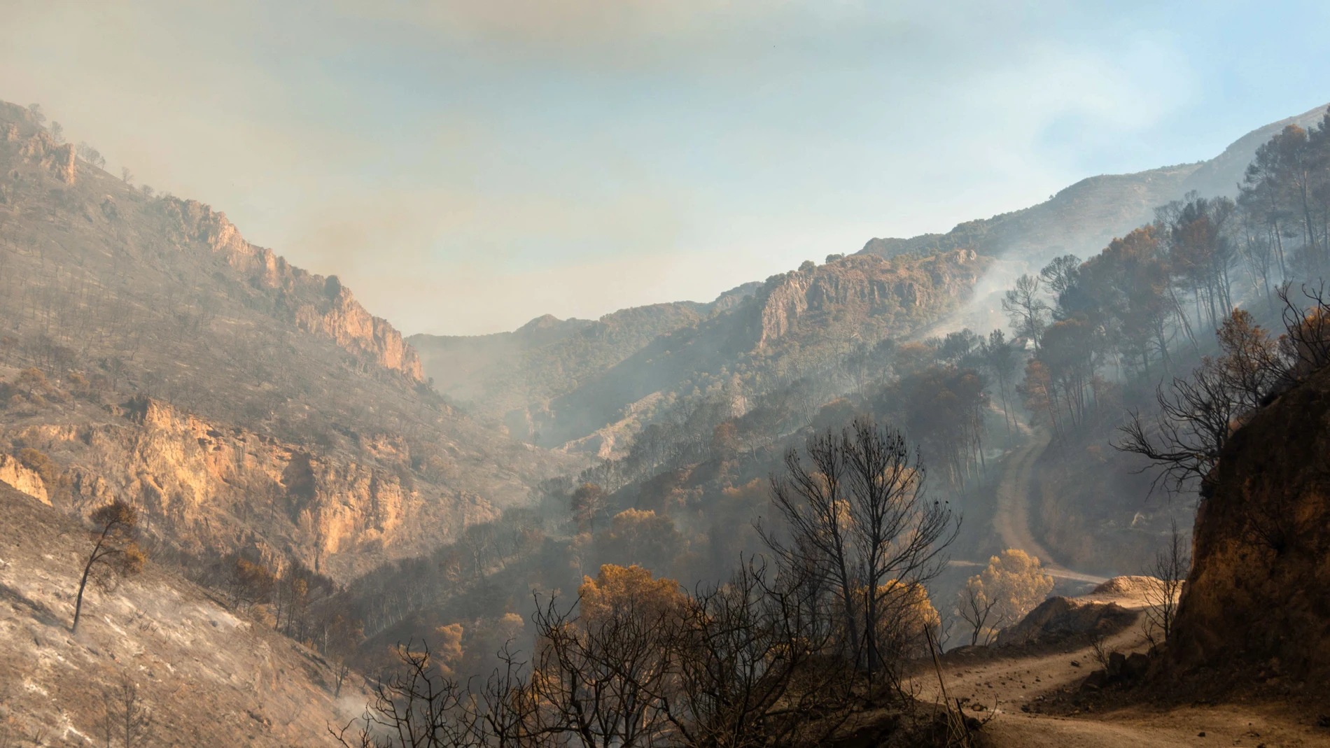 Medios aéreos y terrestres del Infoca trabajan en la extinción de un incendio forestal declarado este jueves en un paraje de Los Guájares, en la Costa Tropical de Granada. EFE/Alba Feixas