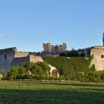 Imagen del castillo de Sotopalacios