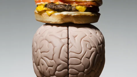 El cerebro y la comida basura