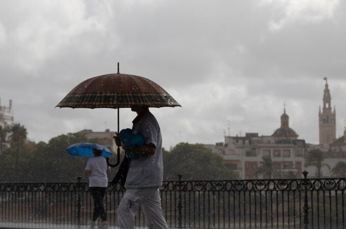 Dos personas caminan bajo sus paraguas en Sevilla 