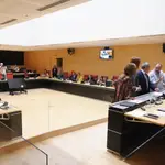  PP y Vox rechazan dos PNL del PSOE en las que se reclama a la Junta ayudas directas para los afectados por los incendios de Zamora