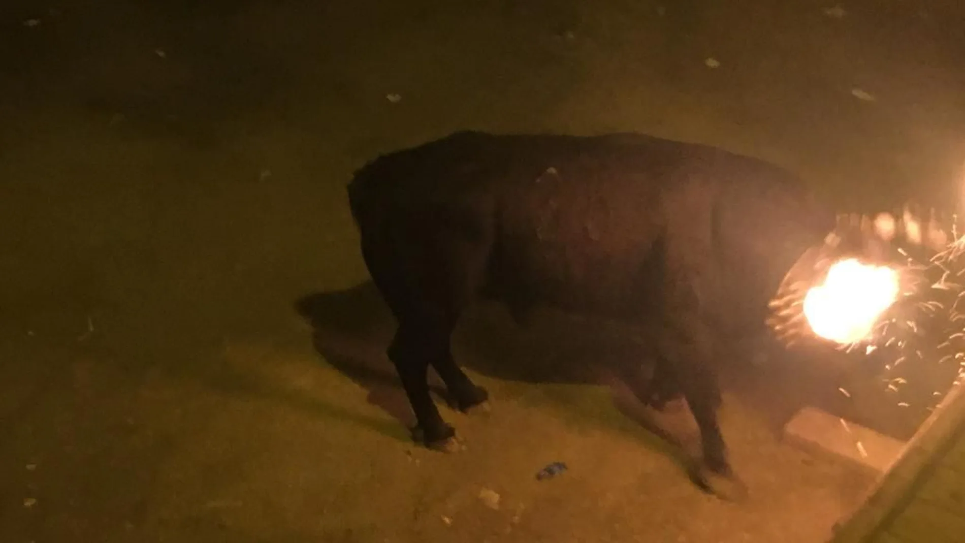 Imagen de un toro embolado embistiendo contra una barrera