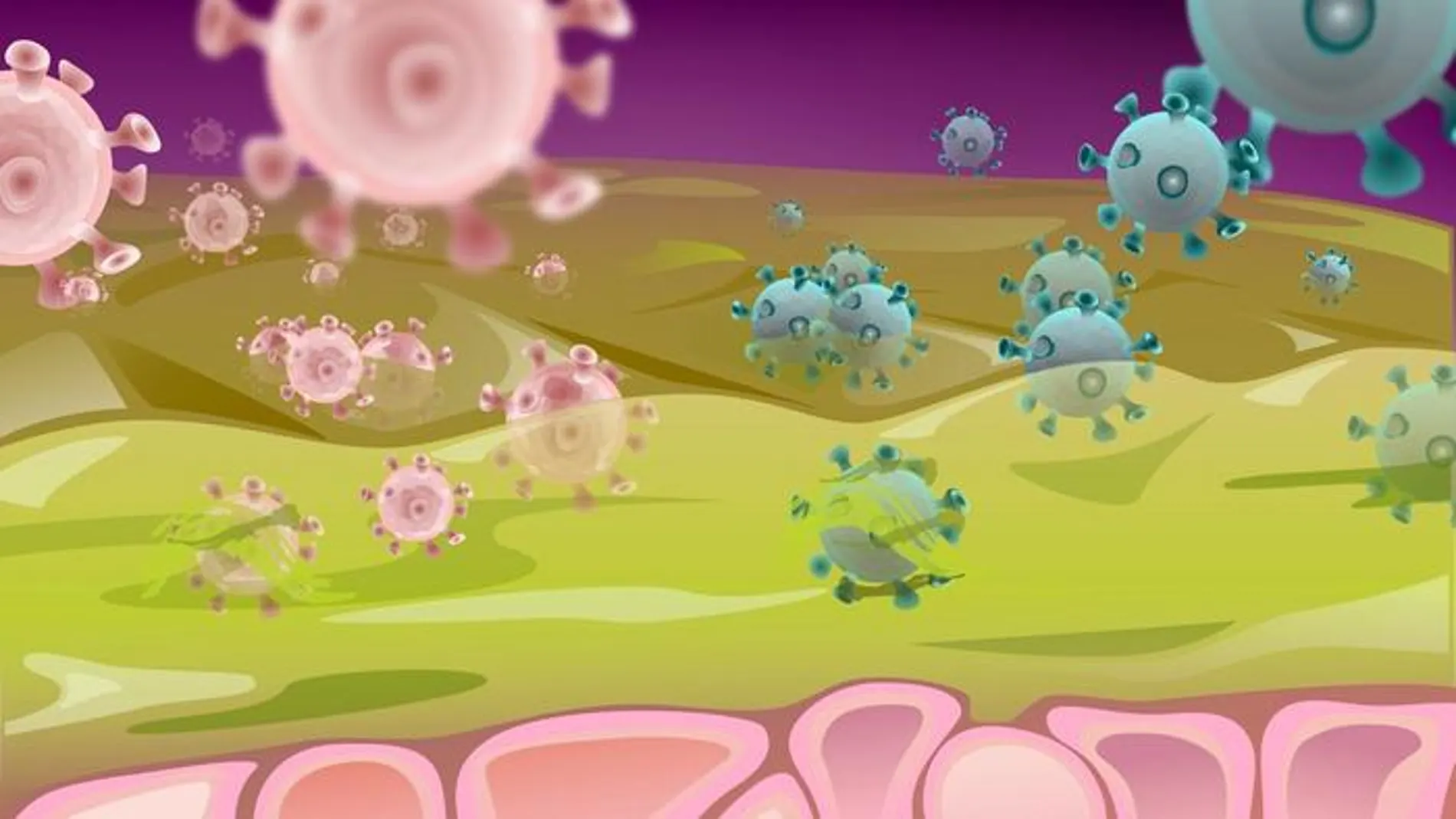 El gel sintético replica la función de autocuración de la mucosidad en el cuerpo: las moléculas de mucina atrapan partículas de virus, como el VIH y el herpes, que luego se eliminan a través de la renovación de la mucosidad.