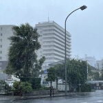 Japón espera desde mañana lluvias sin precedentes, que pueden descargar hasta 600 mm en un sólo día