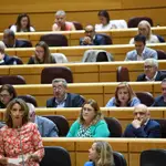 La vicepresidenta tercera y ministra para la Transición Ecológica, Teresa Ribera, interviene en el Senado