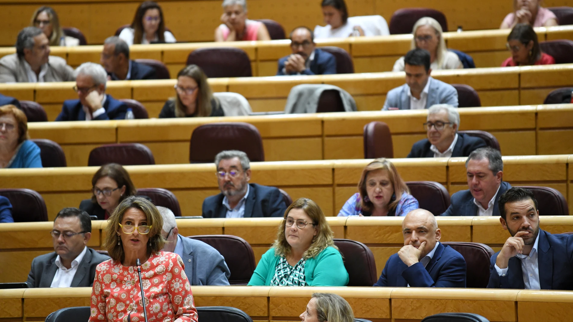 La vicepresidenta tercera y ministra para la Transición Ecológica, Teresa Ribera, interviene en el Senado