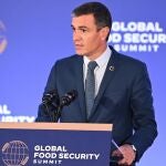 El presidente del Gobierno, Pedro Sánchez, interviene en la cumbre mundial sobre seguridad alimentaria en Nueva York.