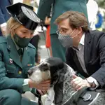 El alcalde de Madrid, José Luis Martínez-Almeida, y una guardia civil, acarician a uno de los perros adoptables durante la presentación de la campaña &quot;Adopta un jubilado 2021&quot;
