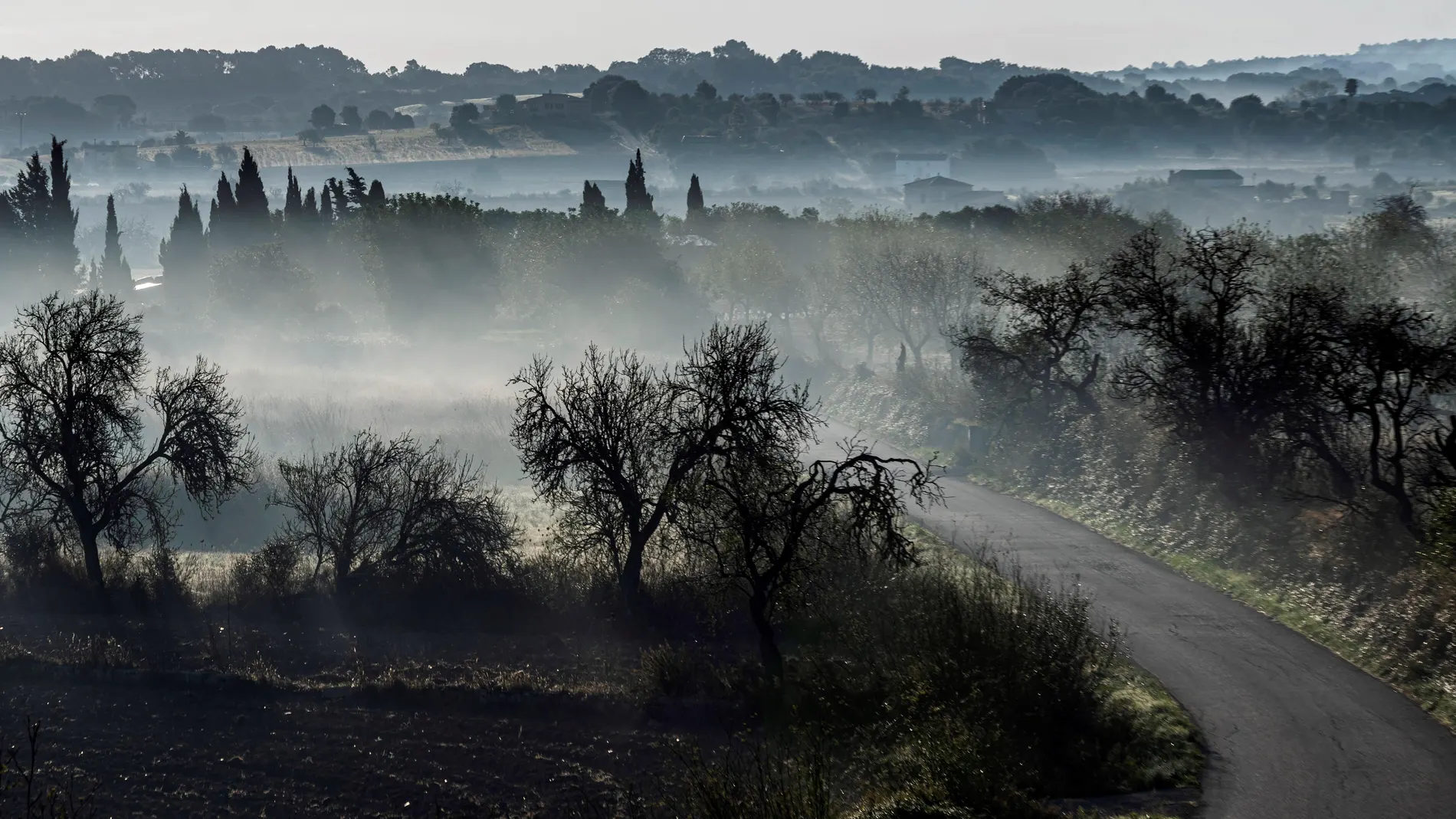 La niebla podría ser persistente en muchas zonas del interior y Mallorca