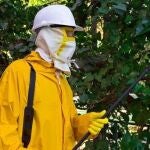 Un trabajador realiza labores de fumigación por el virus del Nilo