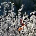 Bajarán las temperaturas en la mayoría del país