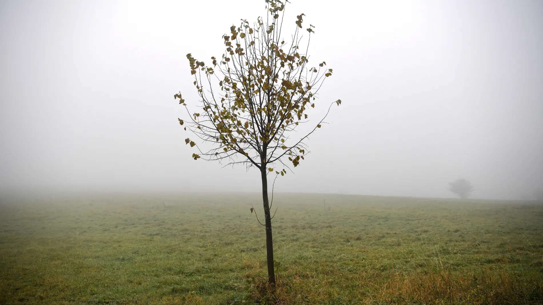 La niebla de la mañana cubre los campos / EFE