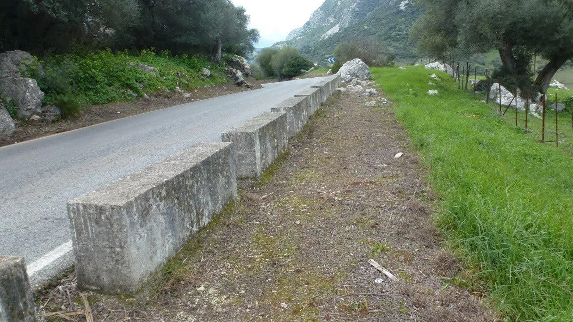 Imagen de una de las carreteras de la zona del parque gaditano que los ecologistas piden que no se fumigue