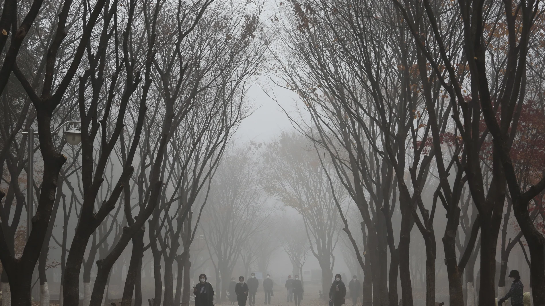 Un día más habrá niebla matinal en el interior del país