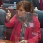 La diputada de Más Madrid, Mónica García, gesticulando en la Asamblea de Madrid